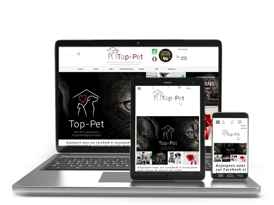 Vente en ligne